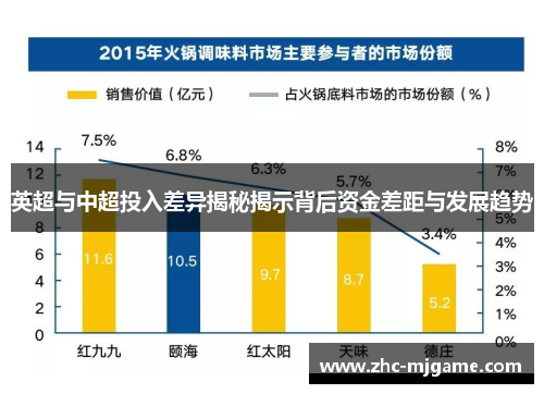 英超与中超投入差异揭秘揭示背后资金差距与发展趋势