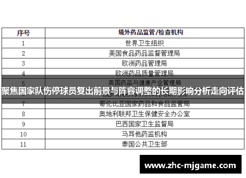 聚焦国家队伤停球员复出前景与阵容调整的长期影响分析走向评估