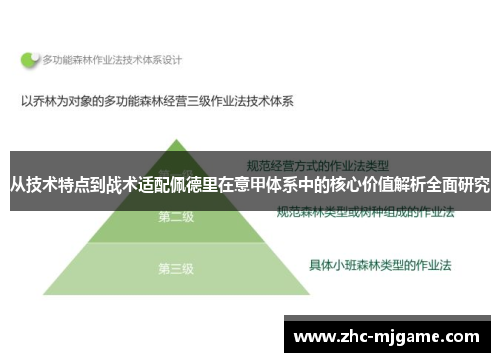 从技术特点到战术适配佩德里在意甲体系中的核心价值解析全面研究